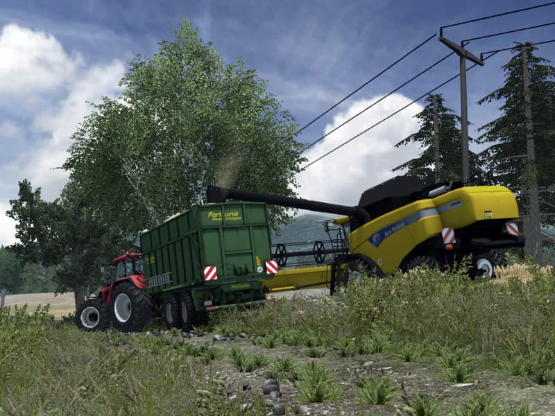 Forest Map chopped straw [MP] 6