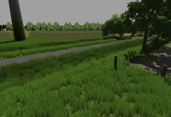 Grass texture