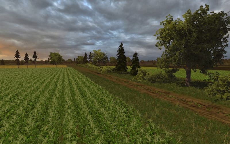Green River [MP] 5