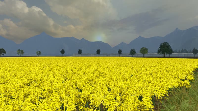Holland Farm LS NG ModTeam 9