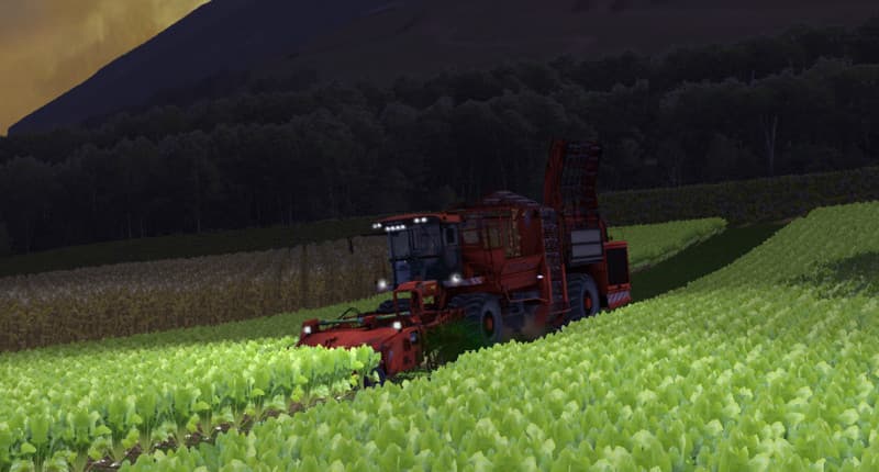 Holmer Terra Dos T2 [SP] 4