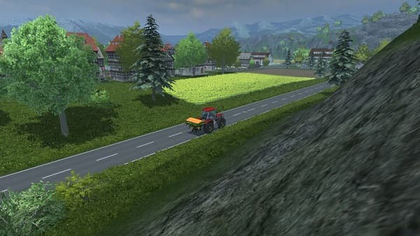 Small berries [MP] 5