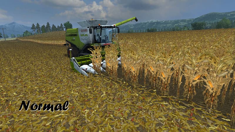 Maize textures [SP] 3