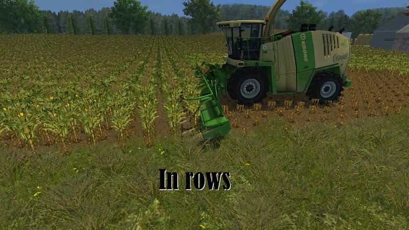 Maize textures [SP] 2