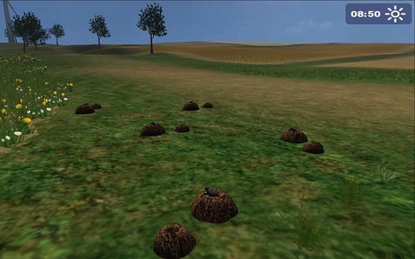 Mole and hill [MP] 3