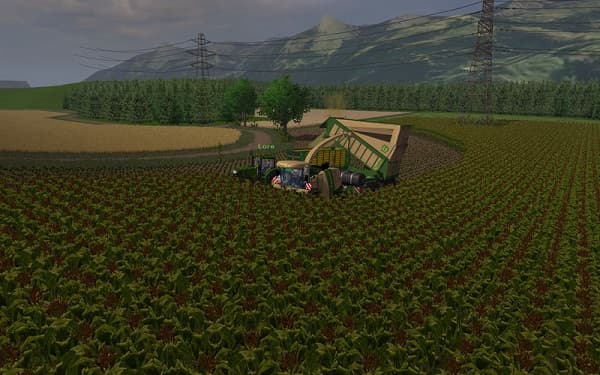 Monti Country 5