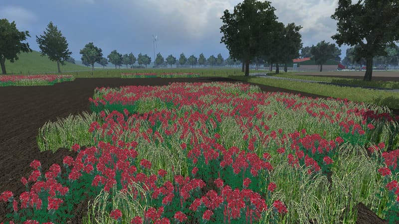 Netherlands Special 2014 SoilMod ChoppedStraw [MP] 5