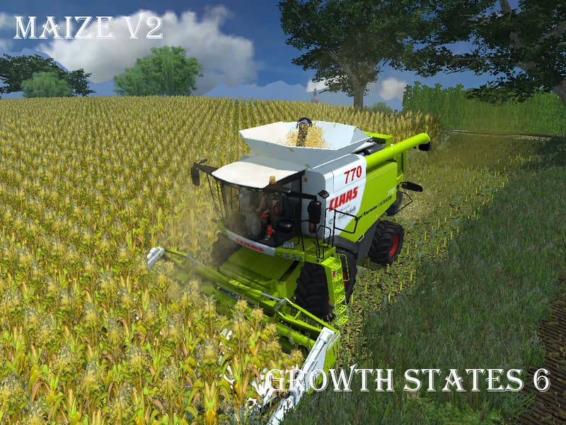 Fresh corn [SP] 4