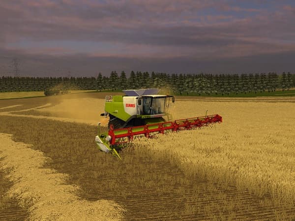 Neufeld Erland Ohne Verdorren 2