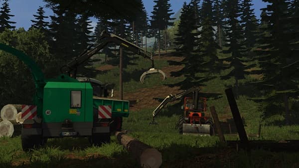 NoName Forestry