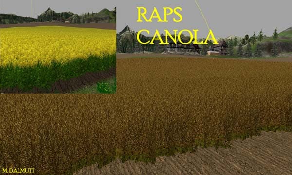 Nova textura wheat barley [SP] 4
