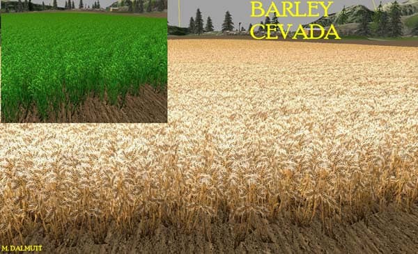 Nova textura wheat barley [SP]