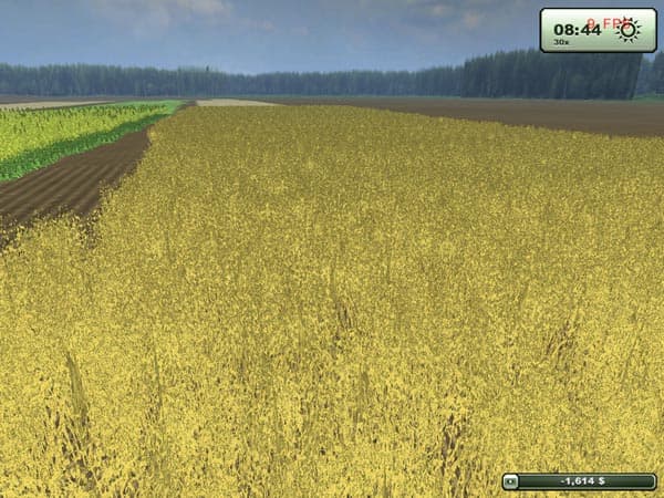 Oat BETA
