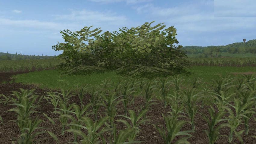 Placeable big Bush [MP] 2