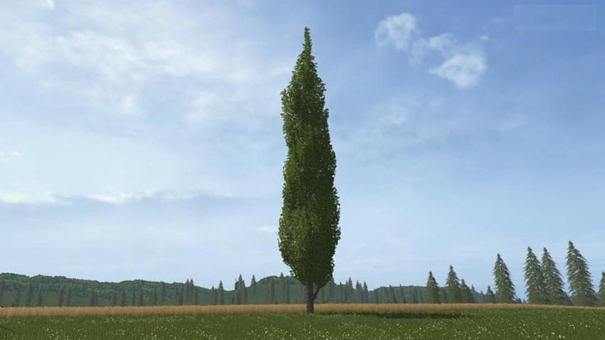 Placeable poplar [MP] 3