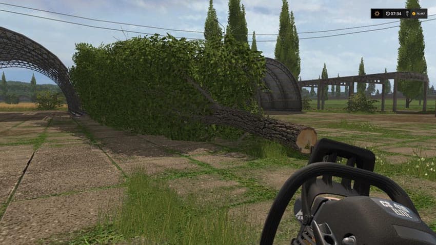 Placeable poplar [MP] 2