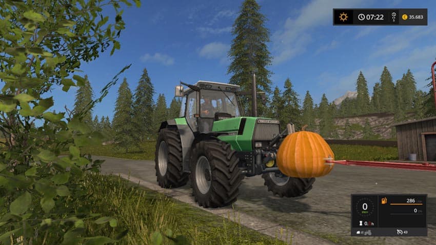 Pumpkin weight [MP]