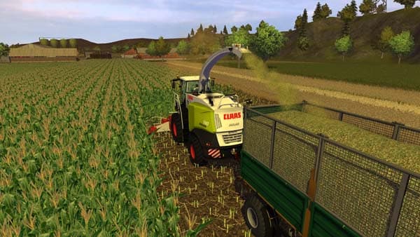 Real corn texture [SP]
