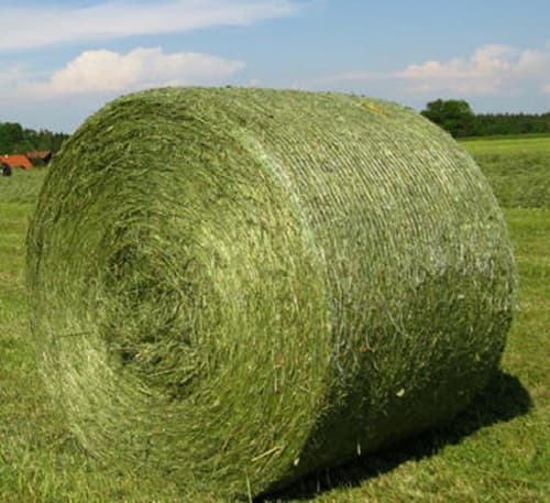 Round Bales Placeable