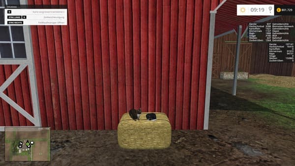 Sleeping cat [MP]