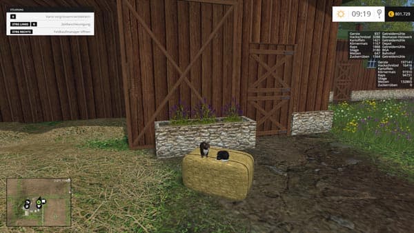 Sleeping cat [MP] 2