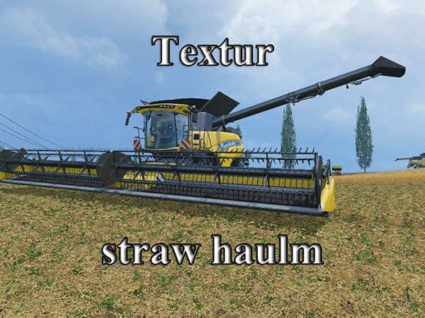Texture Chopped Straw [SP] 3