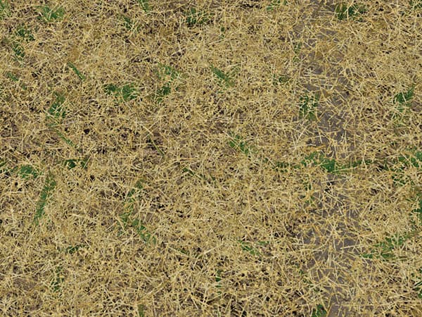 Texture Chopped Straw [SP] 2