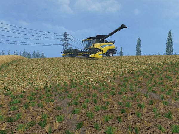 Texture Chopped Straw [SP]