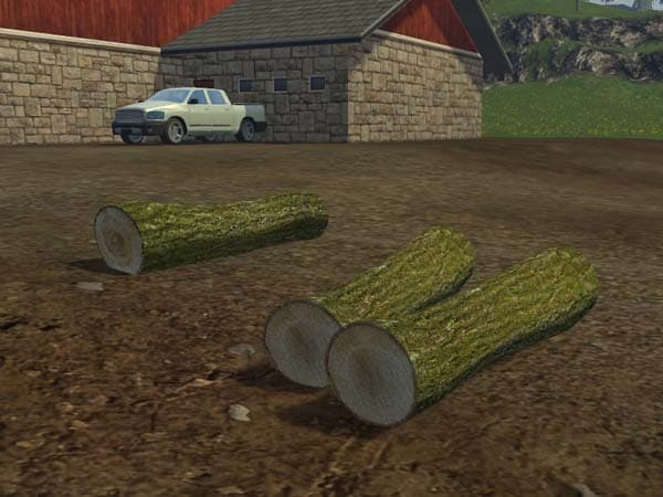Tree trunk [MP] 2