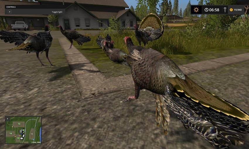 Turkeys 2
