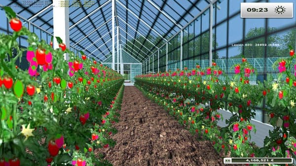Upk tomato house [SP] 2