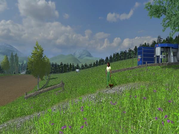 Wildbach Tal 4
