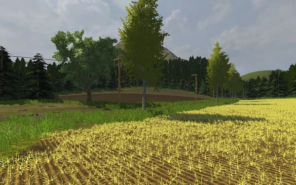 Wild Brook Valley 2