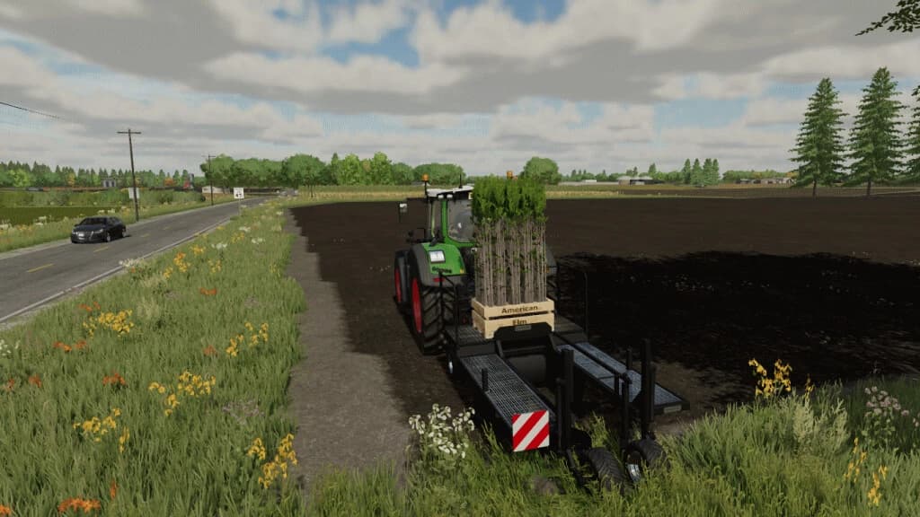 TREE SAPLING PACK 4