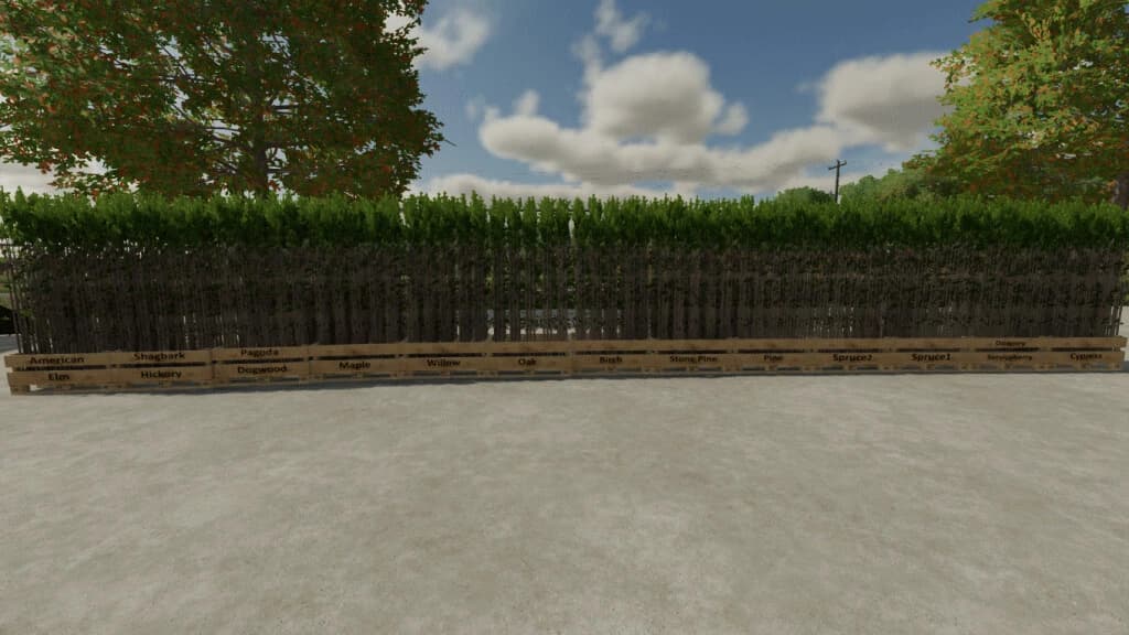TREE SAPLING PACK 3