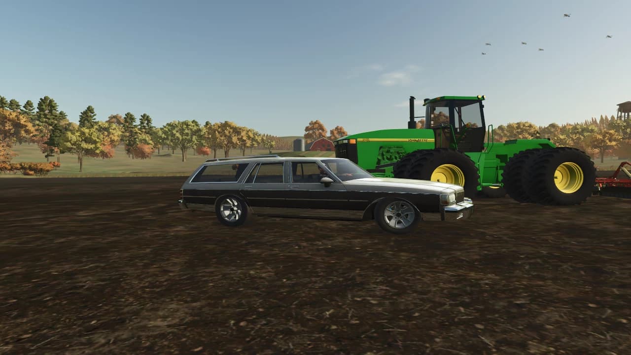 1989 chevy Crapice 2