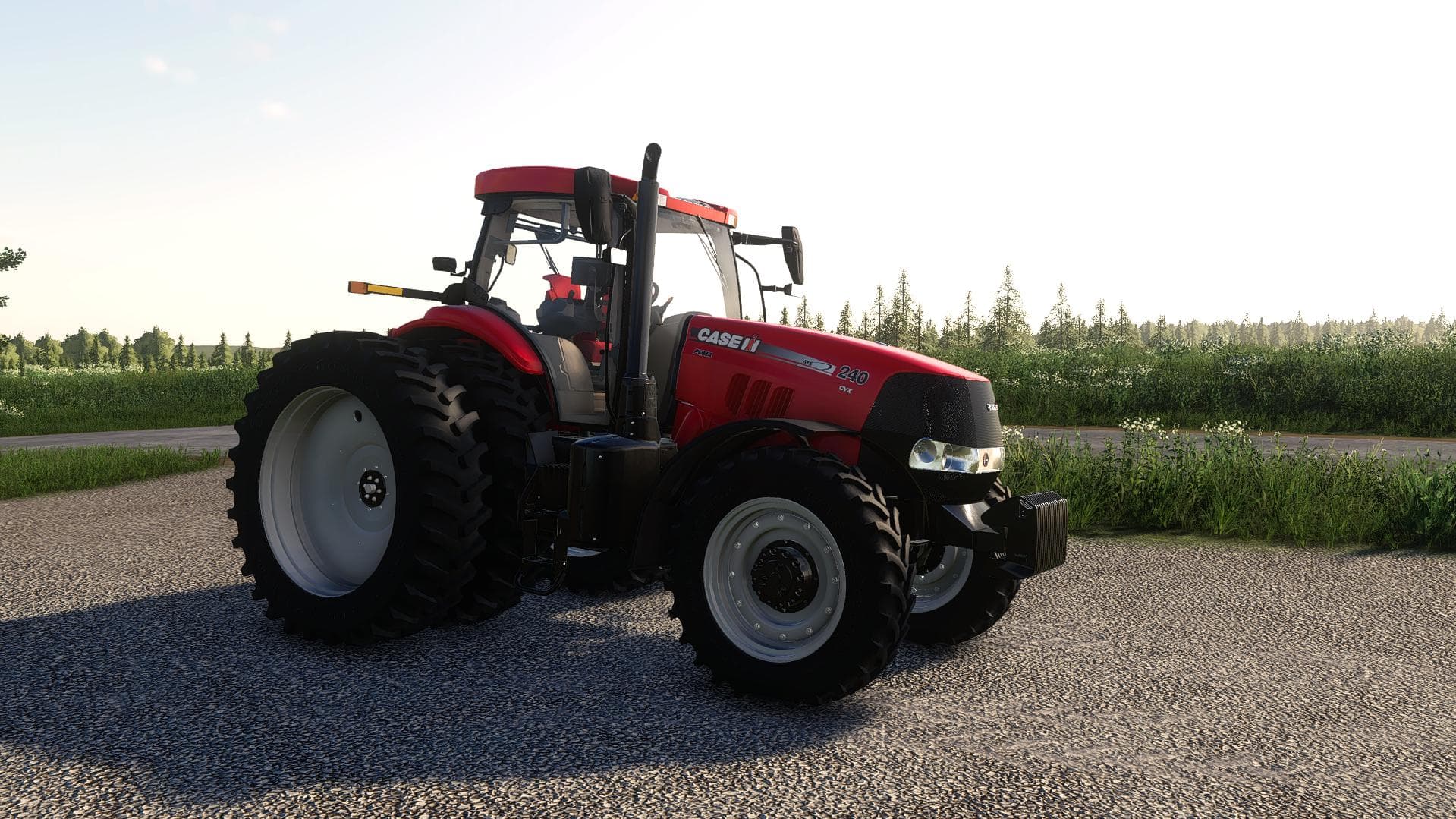 2010 CASE IH PUMA 2
