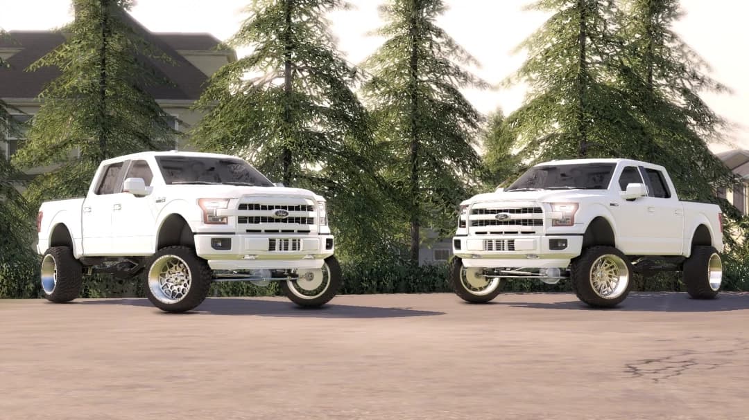 2015 F-150 SHOW TRUCK 3