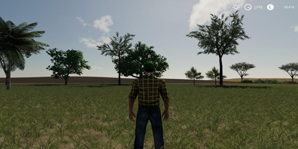 35 TREES PACK