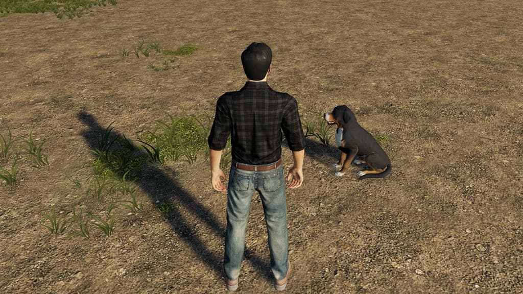 3rd Person 4