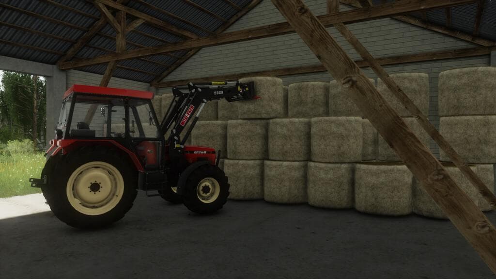 A LARGE POLISH BARN 5