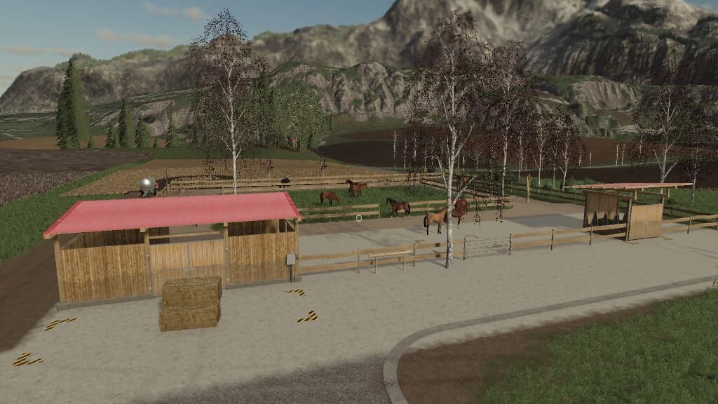 ACTIVE HORSE STABLE 5