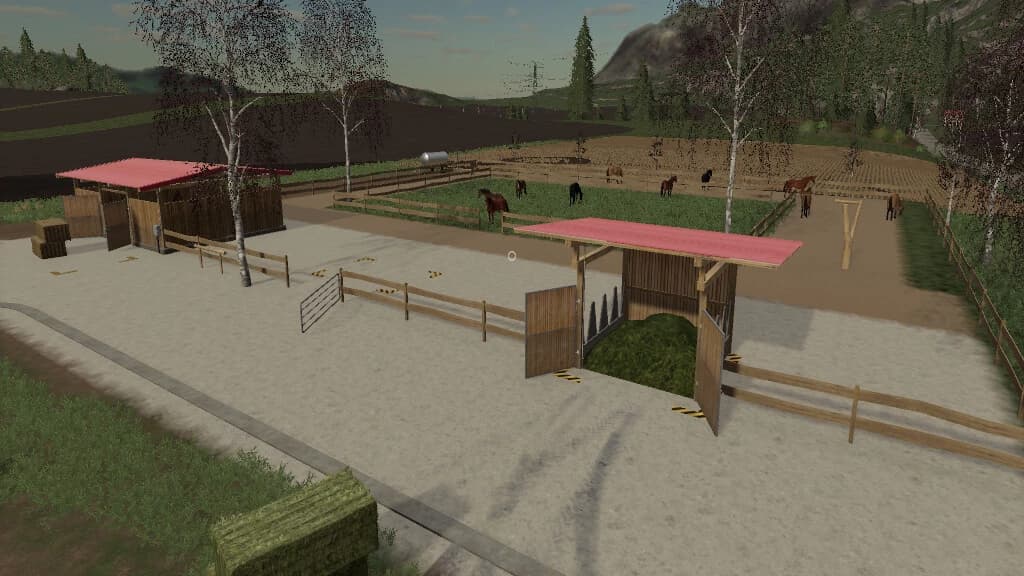ACTIVE HORSE STABLE 4
