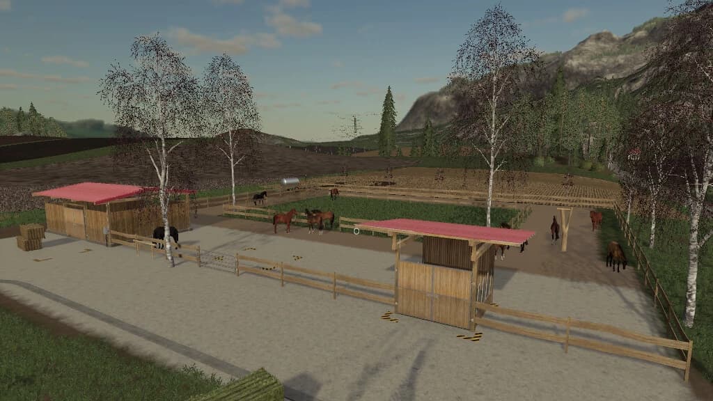 ACTIVE HORSE STABLE 3