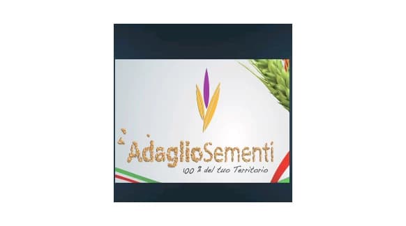 ADAGLIO SEMENTI SEED