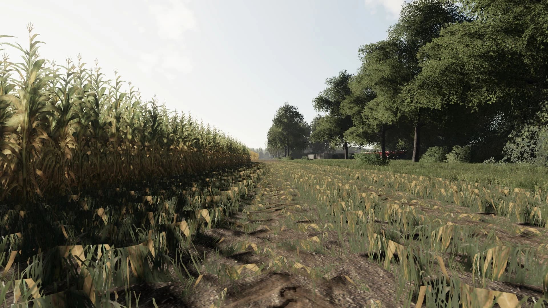 AHLA MAP 4