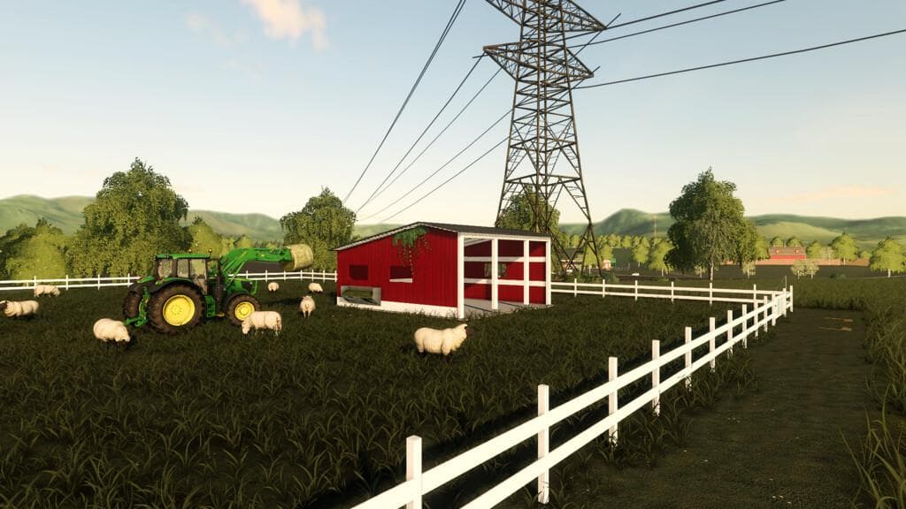 AMERICAN SHEEP PASTURE 3