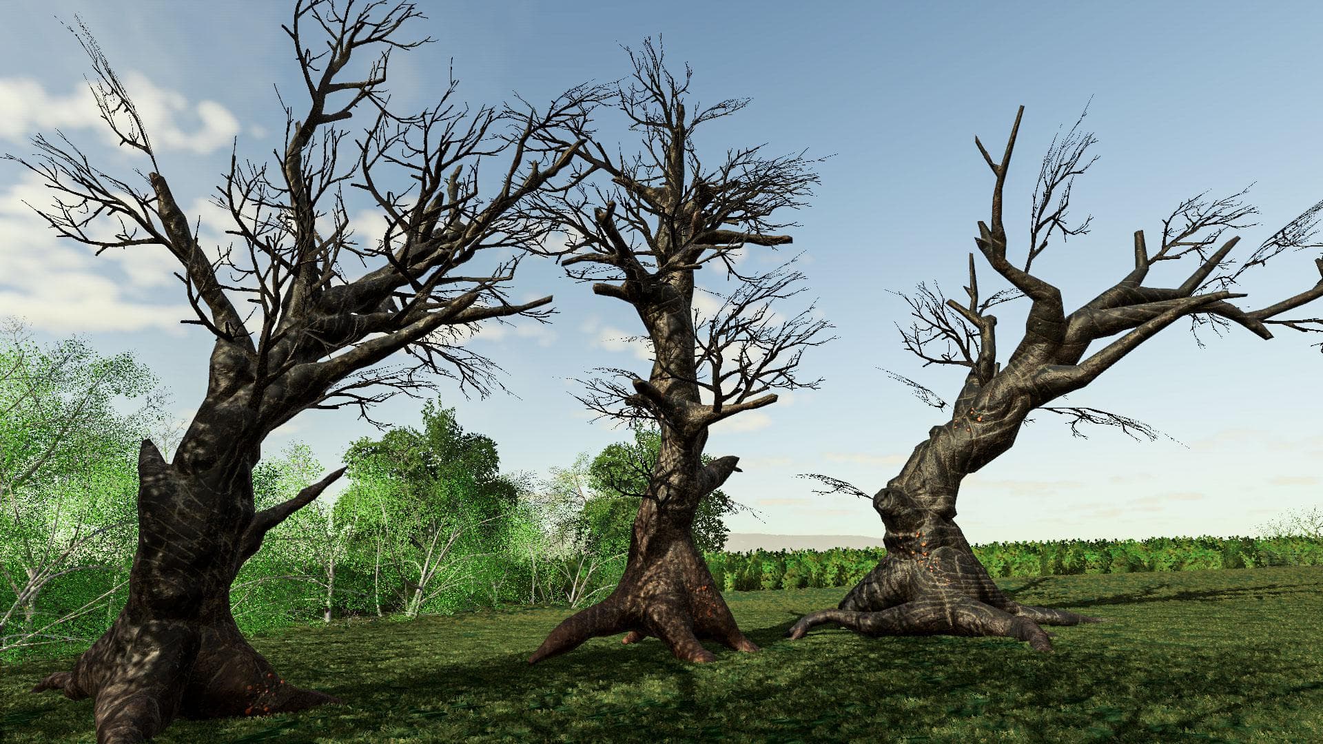 ANCIENT TREE PACK 3