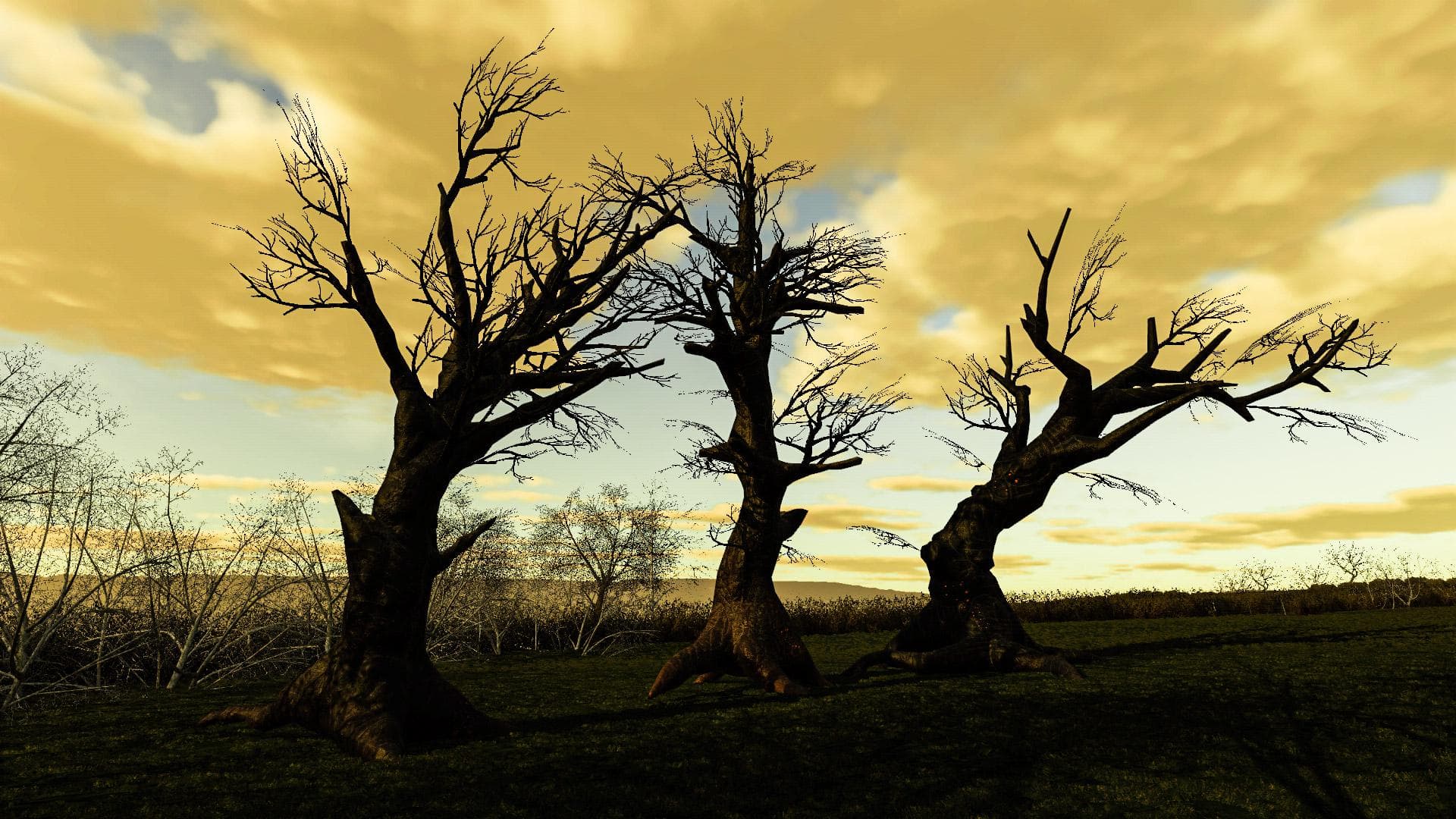 ANCIENT TREE PACK 2