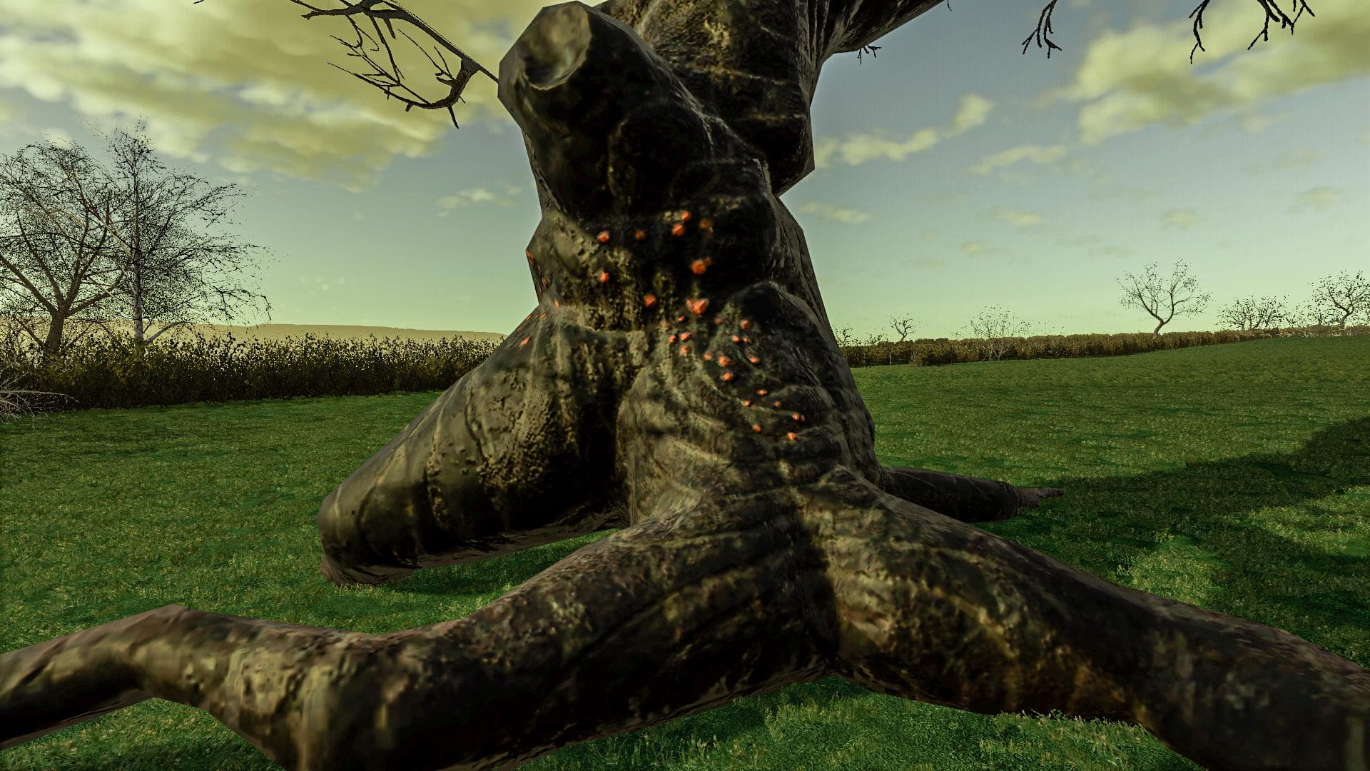 ANCIENT TREE PACK